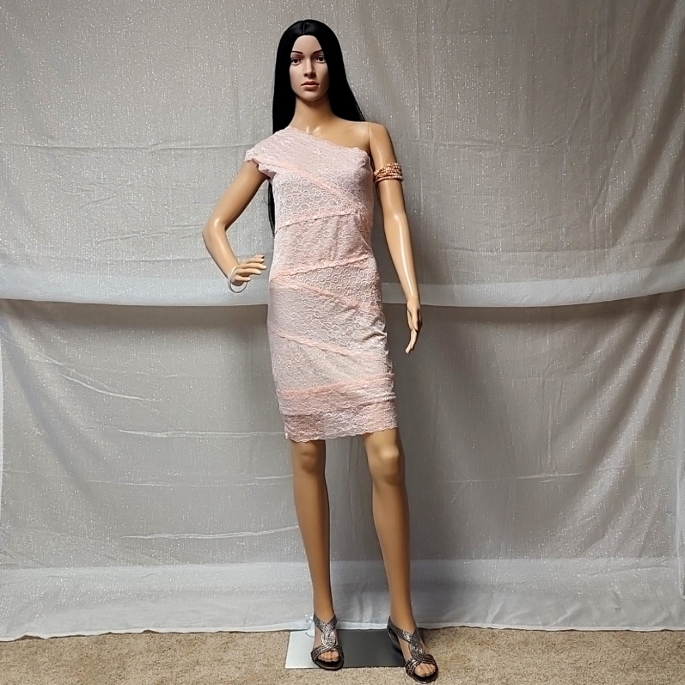 Poof Couture Pink Lace Cocktail Dress Sz Large